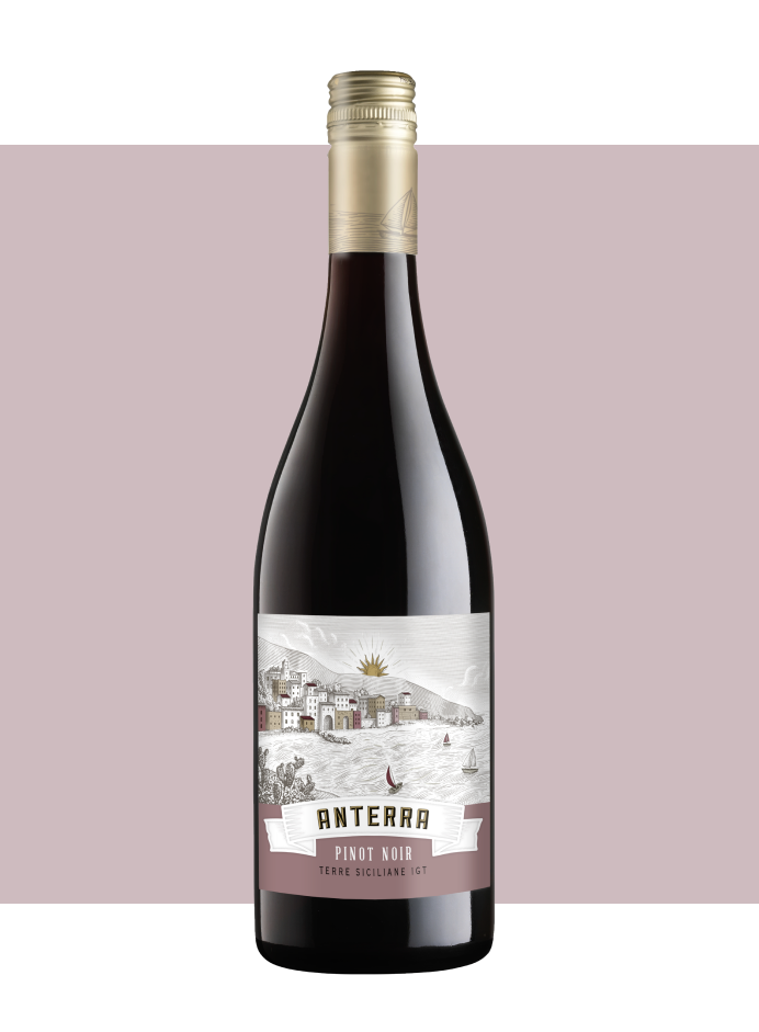 Anterra Wine Pinot Noir